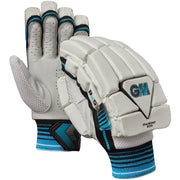 GM 606 batting pads and gloves set